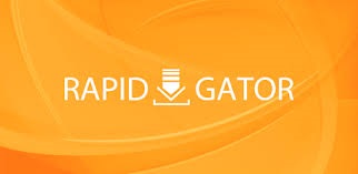 Rapidgator.net GOLD АККАУНТ 30 дней